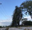 3EEB9524-D100-4CB4-A268-FFB580B80405.jpeg