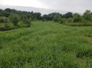 20210710_105527.jpg 20210710_105527.jpg