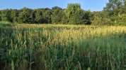 PXL_20210906_123811873.jpg