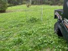 doe harvest.jpg