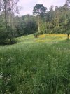 foodplot cover 3.jpg