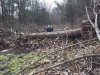 12515 cedar in creek.jpg