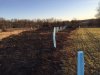 21415 planted burn 2.jpg