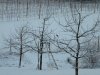 DSCN2564.JPG
