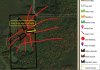Safari 149.png