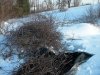 DSCN2589.JPG