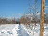 DSCN2587.JPG