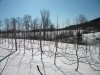 DSCN2601.JPG