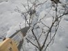 DSCN1351.JPG