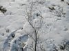 DSCN1352.JPG