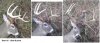 clean 8 point.jpg clean 8 point.jpg