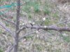 DSCN1379.JPG