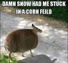FB_IMG_1426017652674.jpg