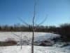 DSCN1310.JPG