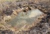 water hole resized.jpg