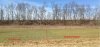rye v wheat resize.jpg rye v wheat resize.jpg