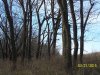 rsz_treestands_7[1].jpg