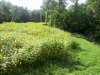 IMG_20140702_170152.jpg