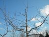 DSCN2591.JPG