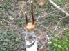 DSCN2260.JPG