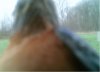 trailcam wtf.jpg