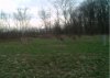 foodplot.jpg