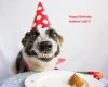 happy birthday.jpg