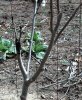 IMG_20150425_121411_877.jpg