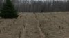 20150424_160550.jpg 20150424_160550.jpg