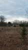 20150425_065247.jpg 20150425_065247.jpg