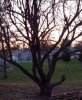 IMG_20150426_064432_419.jpg