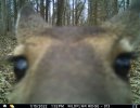 closeup5.jpg
