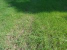 DSC03153.JPG