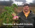 turnip.jpg