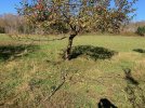 IMG_1935.jpg