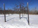 IMG_1843.JPG