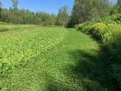 IMG_3665.jpg