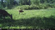 IMG_1407.JPG