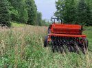 IMG_6176.jpeg