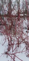 20220209_120938.jpg