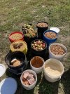 IMG_5827.JPG IMG_5827.JPG