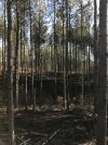 IMG_1393.jpg
