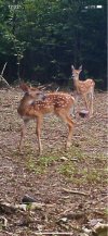 IMG_5313.jpg