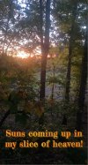 IMG_8393.jpg