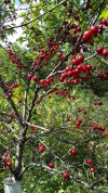 20170916_123754.jpg