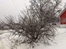 5E329410-AE7E-4BD2-902B-E9294D13C32D.jpeg