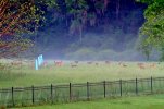 img_2_1647606094755.jpg