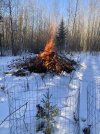 IMG_8197.JPG
