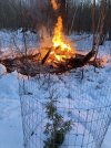 IMG_8199.JPG