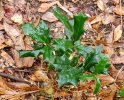 20210121_150141_crop_1000w.jpg